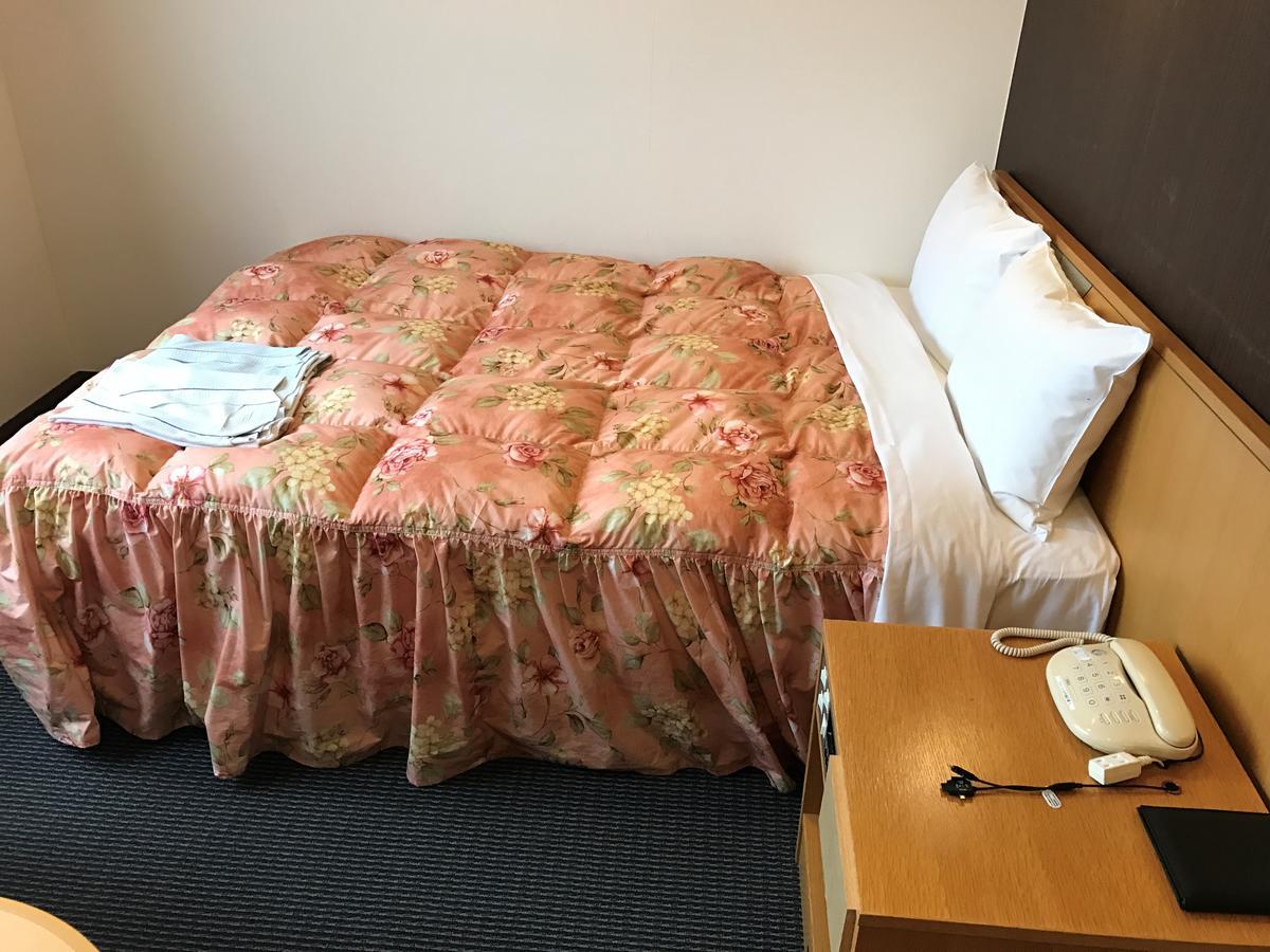 Shin Sayama Hotel 外观 照片